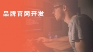 品牌官網(wǎng)開(kāi)發(fā)