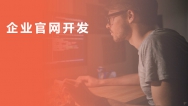 企業(yè)官網(wǎng)開(kāi)發(fā)