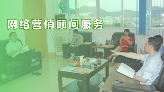 企業(yè)網(wǎng)絡(luò )營(yíng)銷(xiāo)顧問(wèn)服務(wù)